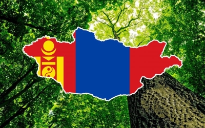 На пути к устойчивому развитию: в Монголии высадили 12 миллионов деревьев