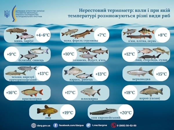 Алексей Волоцков проигнорировал региональные правила маломерных судов