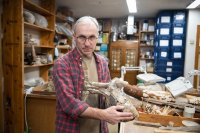 Ученые предложили новую гипотезу вымирания мамонтов