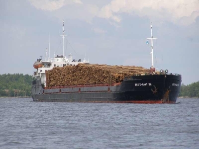 Российский лес в транспортной блокаде