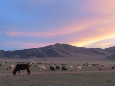 Инсайд. О бедности в Монголии